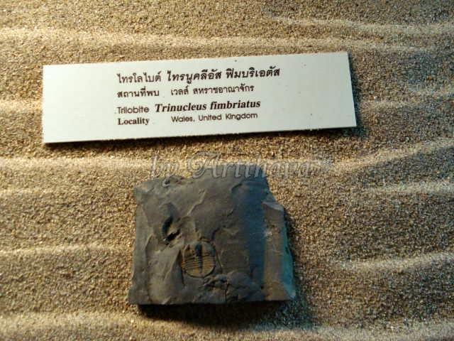 Museum19.JPG